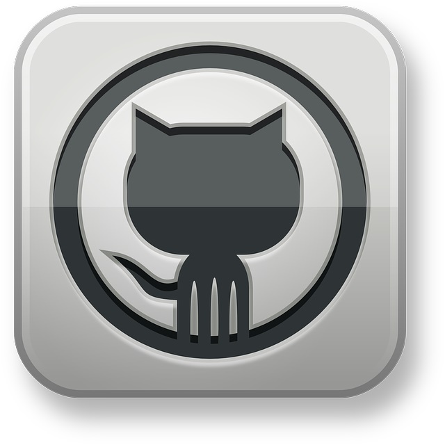 github github